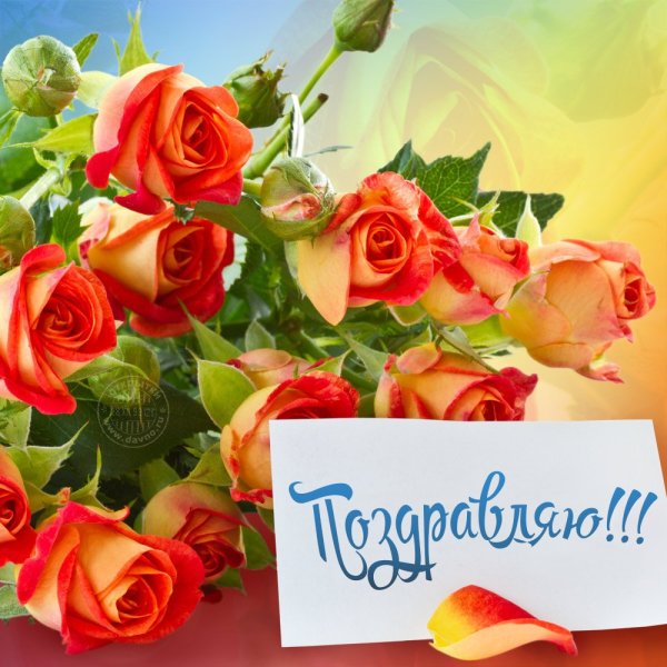 Поздравительные открытки с днем рождения