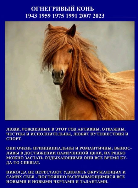 Найтмар лошадь