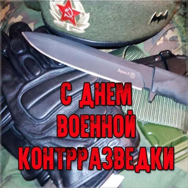 День вленнойконтрразведки