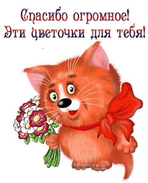 Открытка спасибо веселая