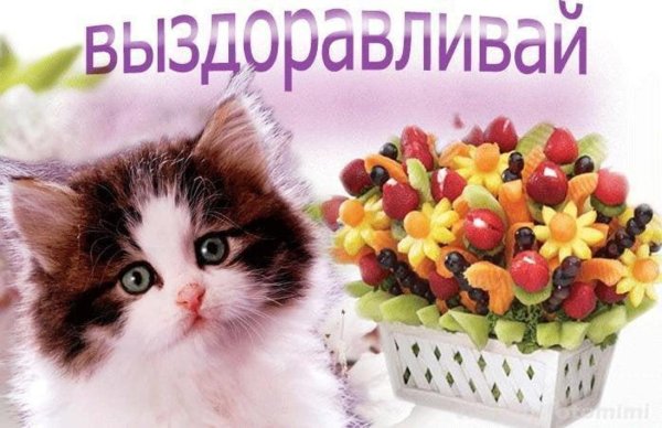 Открытка выздоравливай