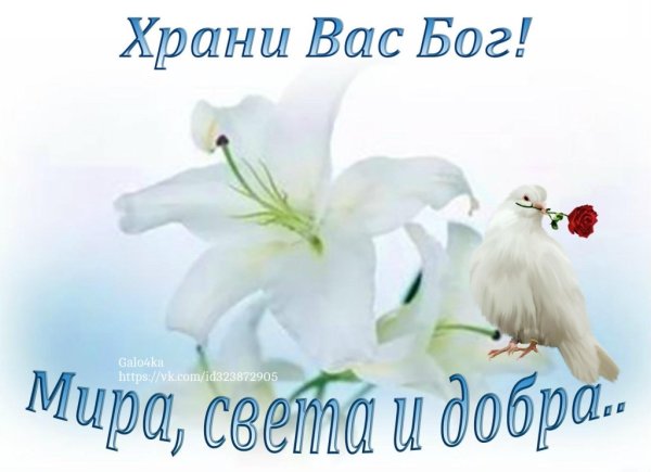 Храни вас Бог