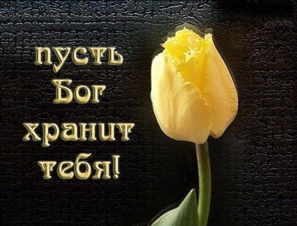 Храни вас Бог