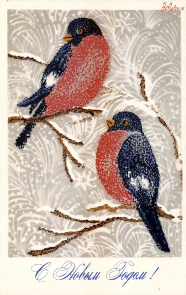 Советские открытки со снегирями