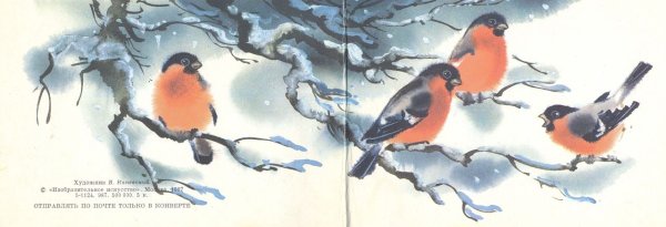 Каневский Снегирь