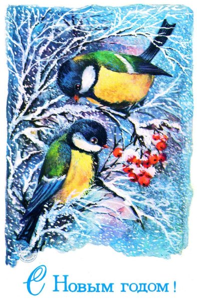 Новогодние открытки с птичками