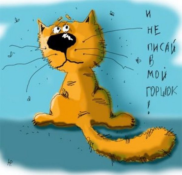 Я обиделась картинки смешные