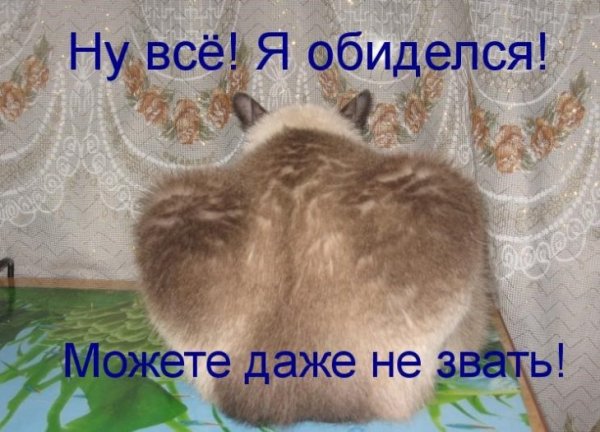 Открытка я обиделась