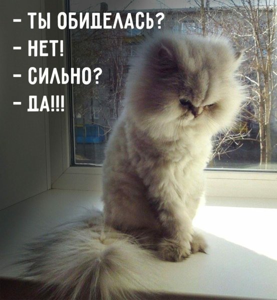 Ты обиделась нет сильно да