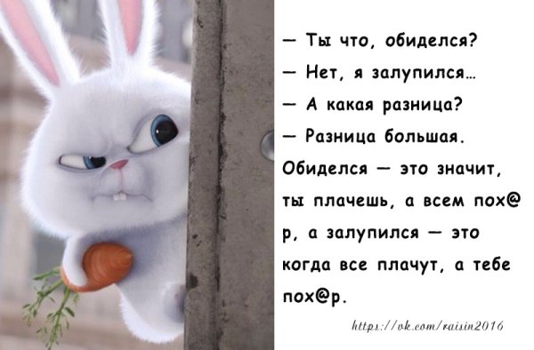 Стихи про обиженных прикольные