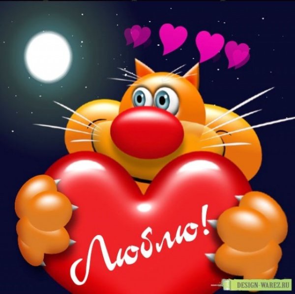 Люблю тебя картинки прикольные