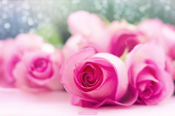 С днём рождения Маша поздравления