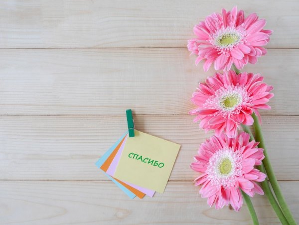 Нежные цветы с благодарностью