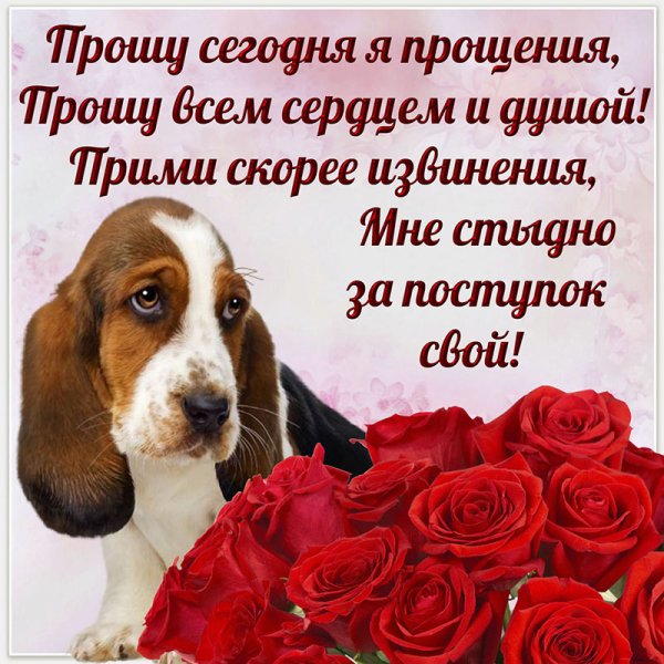 Открытки с извинениями