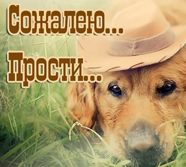 Прости меня