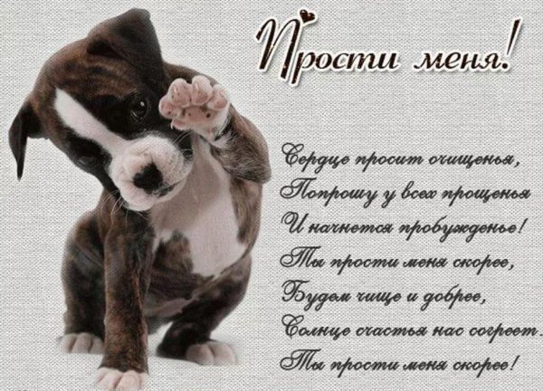 Открытки с извинениями