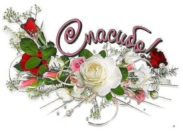 Открытки с благодарностью