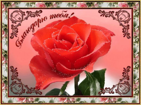 Открытки с благодарностью