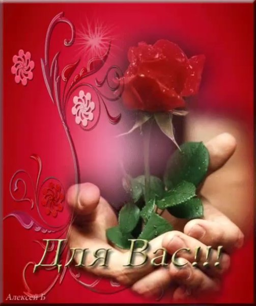 Любовь и благодарность