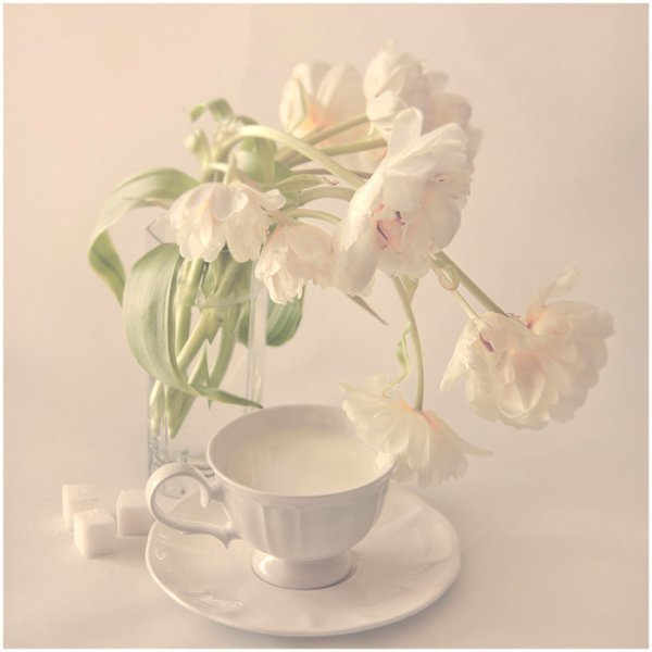 Доброе утро с нежными цветами