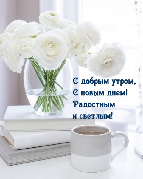 Цветы в белых тонах