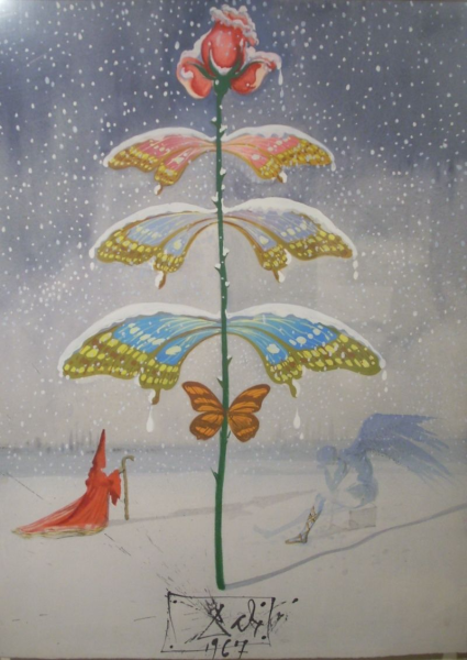 Открытки Сальвадор дали