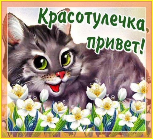 Привет картинки