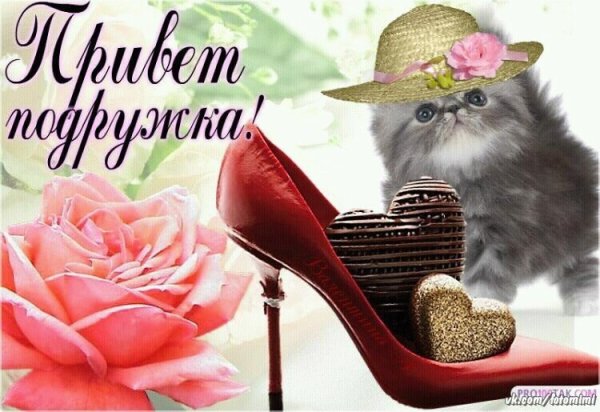 Открытки привет подружка