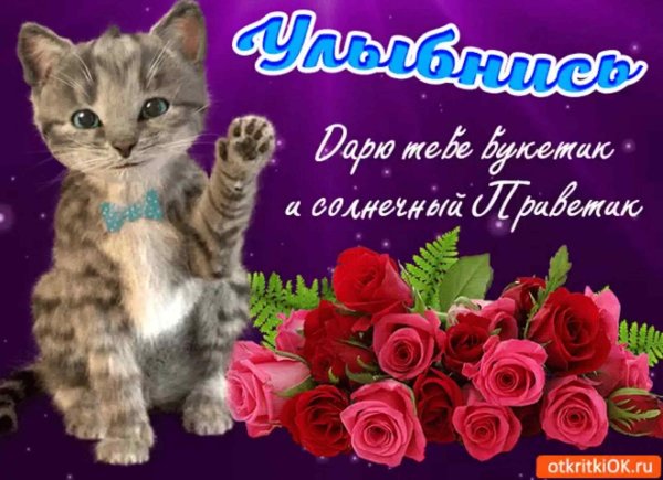 Открытки Вечерний приветик