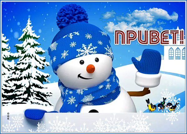 Открытки зимние прикольные