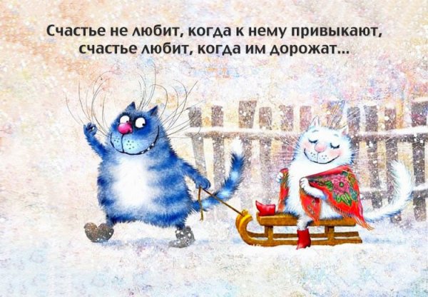 Открытки зима прикольные