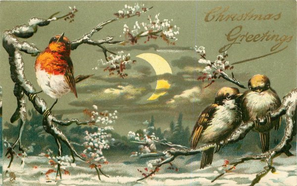 Птицы ретро