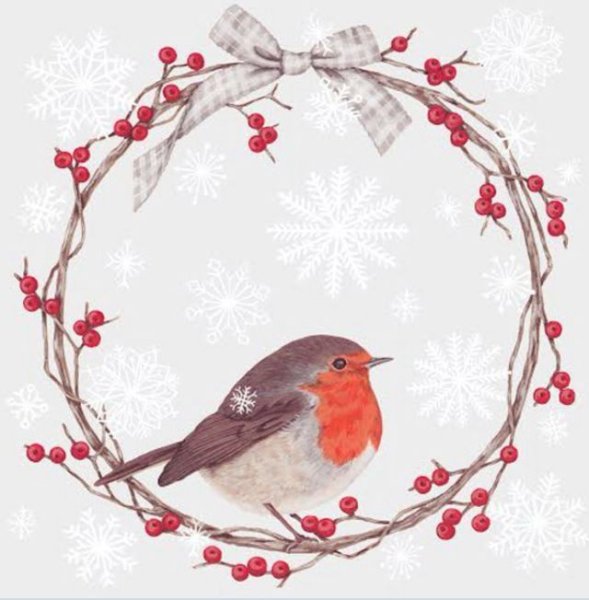 Акварель птицы новый год