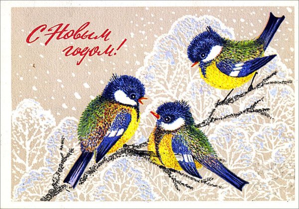 Синица с новым годом