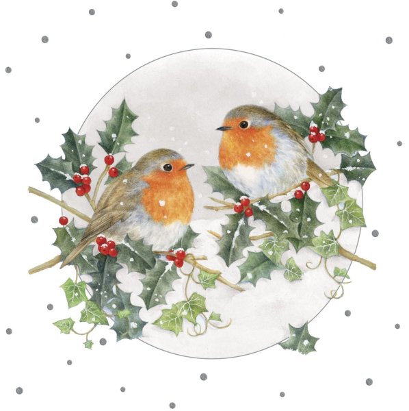 Новогодние открыточки с птичками