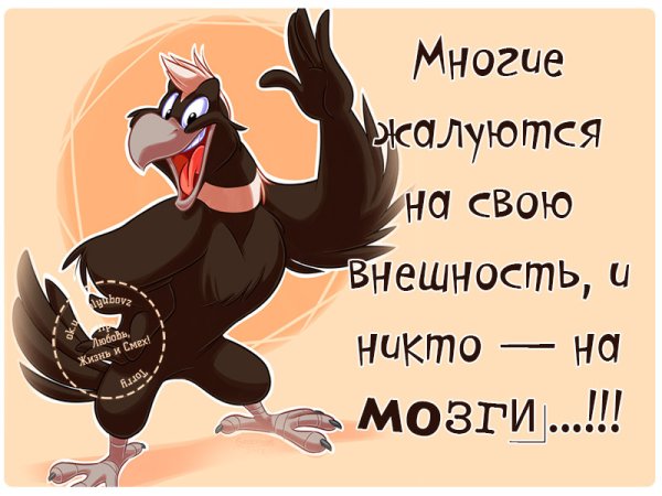 Цитаты с юмором и смыслом