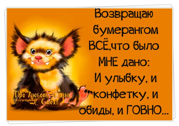 Веселые статусы про жизнь