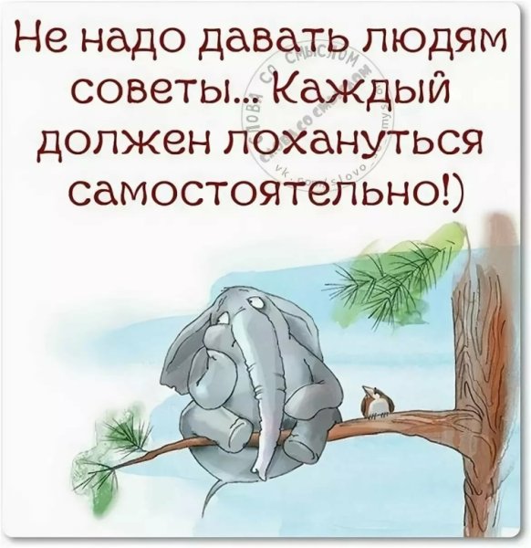 Смешные цитаты