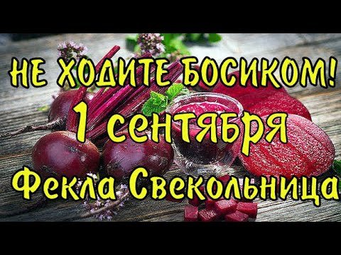 1 Сентября Фекла-Свекольница (Андрей-тепляк)