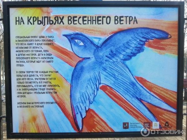 День свободного ветра в крыльях
