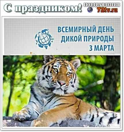 Праздник «Всемирный день дикой природы