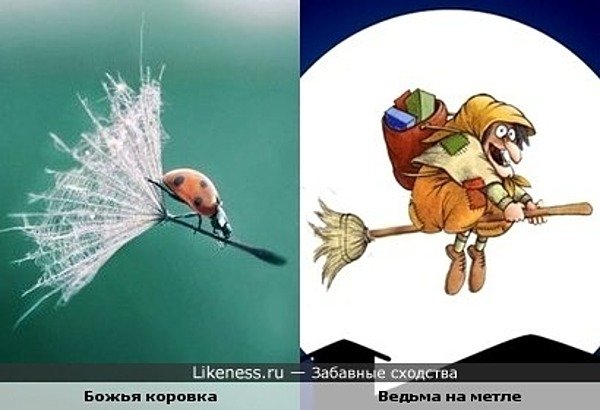 Я на метле юмор