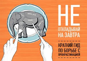 Прокрастинация книга слон