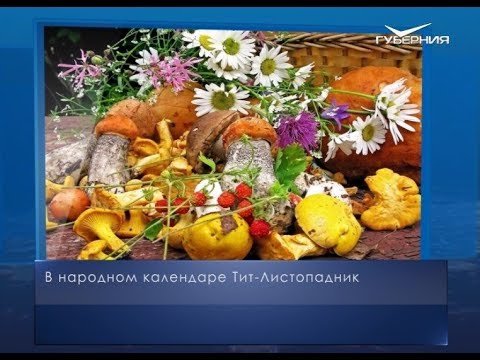 Тит Листопадник (Тит грибник)