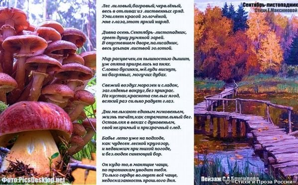 Народный календарь Тит Листопадник