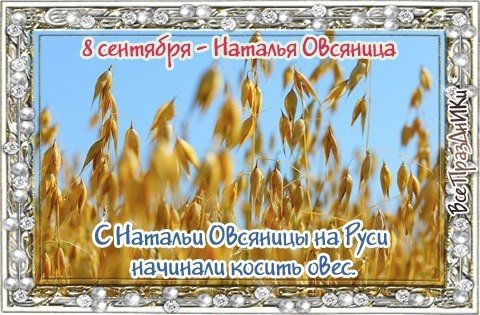 8 Сентября Наталья овсяница и Адриян осенний