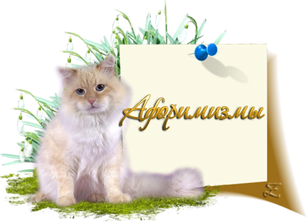 День ласкового обращения открытки