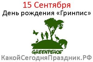 Роза Гринпис фото и описание сорта