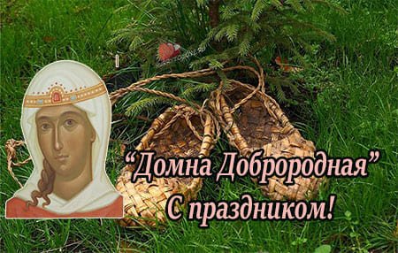 Домна Доброродная праздник