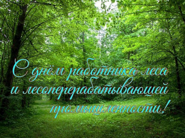 День работников леса и лесоперерабатывающей промышленности 2022